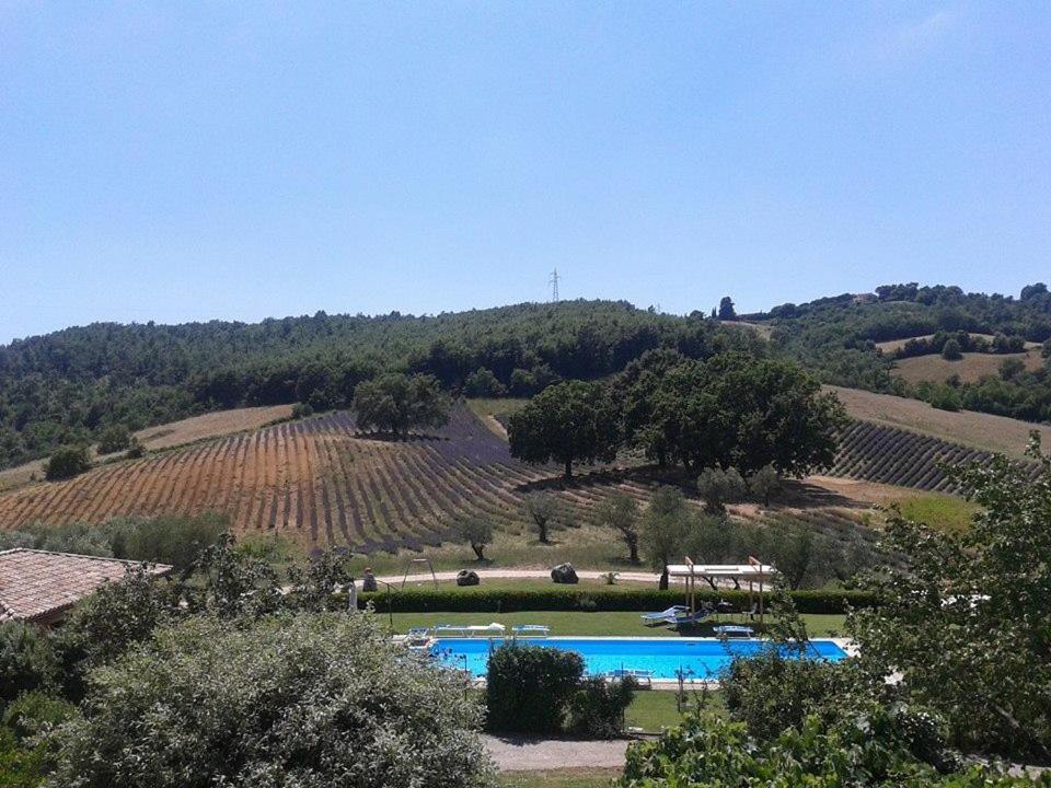 Il Poggio Di Teo Villa Manciano Ngoại thất bức ảnh