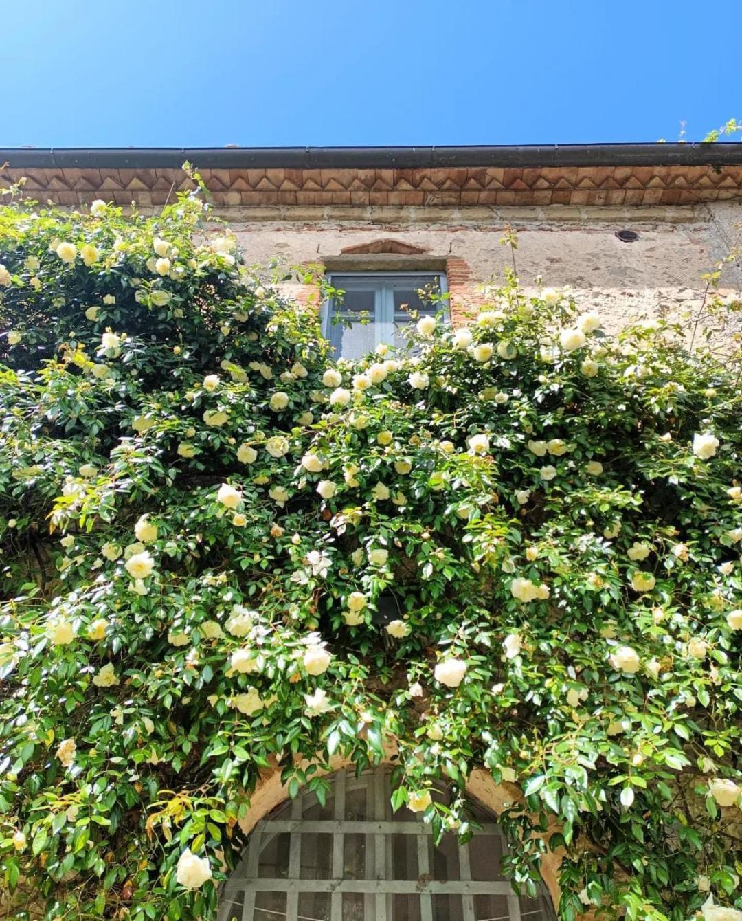 Il Poggio Di Teo Villa Manciano Ngoại thất bức ảnh