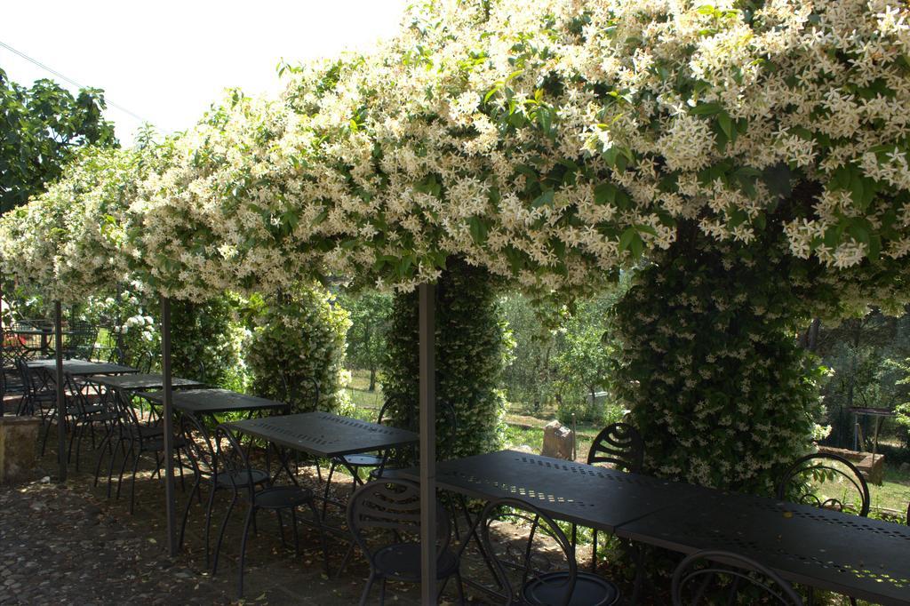 Il Poggio Di Teo Villa Manciano Ngoại thất bức ảnh